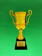 Merit Award for Building Sites (Public Sector) in the Construction Industry Safety Award Scheme 2018/2019*【Construction of Public Rental Housing Development at Fanling Area 49, Contract No. 20160355】