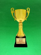 Silver Award of Safety Team in the Construction Industry Safety Award Scheme 2018/2019*【Construction of Public Rental Housing Development at Fanling Area 49, Contract No. 20160355】