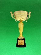 Outstanding Performance in Work-at-height safety for Building Sites (Public Sector) in the Construction Industry Safety Award Scheme 2018/2019* Majestic Engineering Company Limited*【Construction of Public Rental Housing Development at Fanling Area 49, Contract No. 20160355】