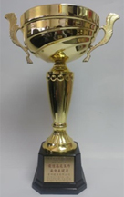 Outstanding Performance in Work-at-height safety for Renovation and maintenance works category in the Construction Industry Safety Award Scheme 2016/2017【District Term Contract for the Maintenance, Improvement and Vacant Flat Refurbishment for Tai Po, North, Shatin and Sai Kung Region (2) 2015/2017, Contract No. 20149086】