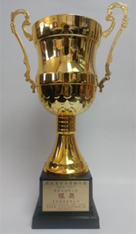 Silver Award for Renovation and maintenance works category in the Construction Industry Safety Award Scheme 2016/2017【District Term Contract for the Maintenance, Improvement and Vacant Flat Refurbishment for Tai Po, North, Shatin and Sai Kung Region (2) 2015/2017, Contract No. 20149086】