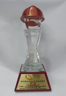 Bronze Award of Best Refurbishment and Maintenance Contractor in Occupational Safety and health in Construction Safety Day*【Term Contract for the Alterations, Additions, Maintenance and Repair of Buildings and Lands and Other Properties for which the Architectural Services Department (Property Services Branch) is Responsible [Designated Contract Area : Wong Tai Sin and Sha Tin], Contract No.TC E942】