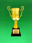 Merit Award for Building Sites (Public Sector) in the Construction Industry Safety Award Scheme 2017/2018*【Construction of Public Rental Housing Development at Fanling Area 49, Contract No. 20160355】